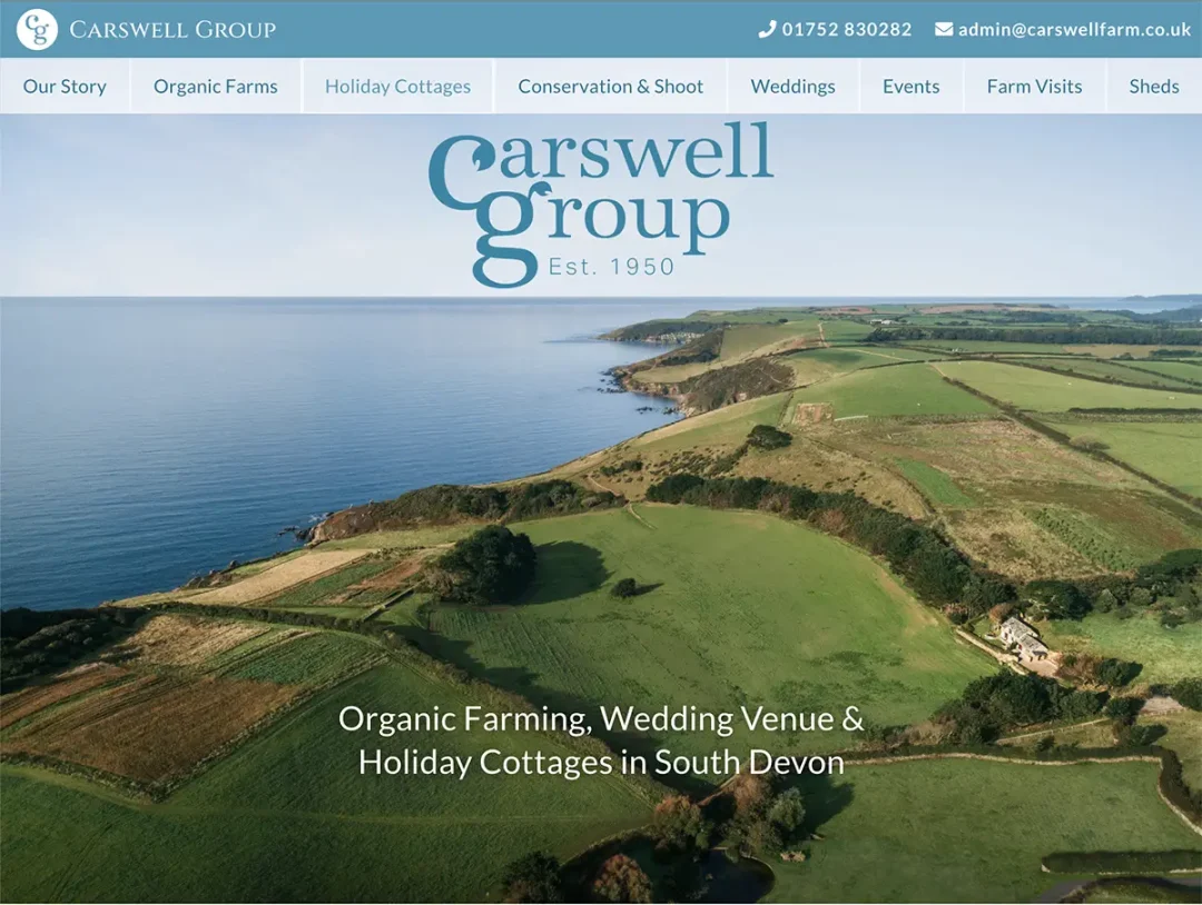 Website design carswell group Tamsin Carter Pynto