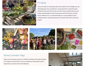 Website design events page layout carswell group Tamsin Carter Pynto
