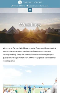 Website design mobile carswell group Tamsin Carter Pynto