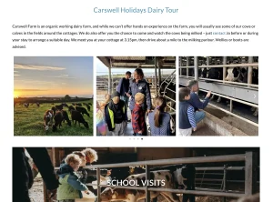 Website design page layout carswell group Tamsin Carter Pynto